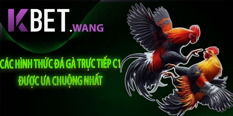 Các Hình Thức Đá Gà Trực Tiếp C1 Được Ưa Chuộng Nhất