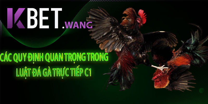 Các Quy Định Quan Trọng Trong Luật Đá Gà Trực Tiếp C1