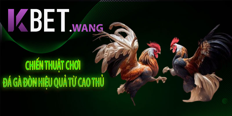 Chiến Thuật Chơi Đá Gà Đòn Hiệu Quả Từ Cao Thủ