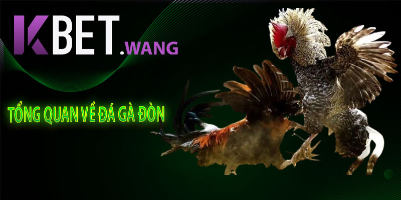 Tổng Quan Về Đá Gà Đòn