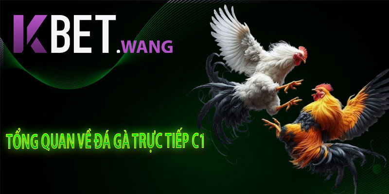 Tổng Quan Về Đá Gà Trực Tiếp C1